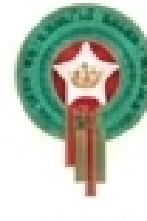 Fédération Royale Marocaine de Football