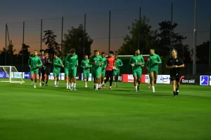 alt= Transferts Lions de l'Atlas