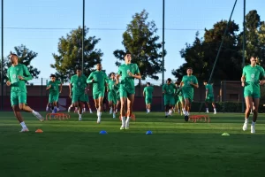 alt= Transferts Lions de l'Atlas