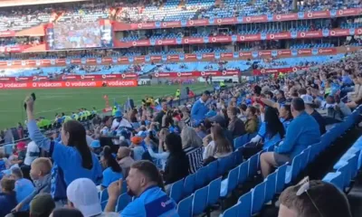 alt= Blue Bulls rugby ferveur des supporters au Loftus Versfeld