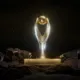 Alt= MAS RS Berkane Ligue des champions CAF.